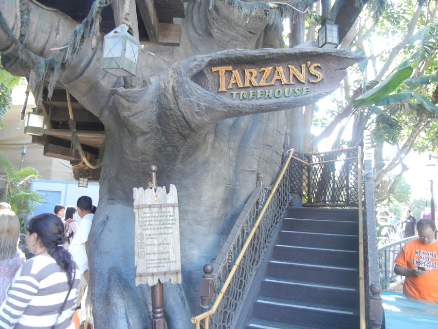 Disneyland Tarzan's Treehouse Picture